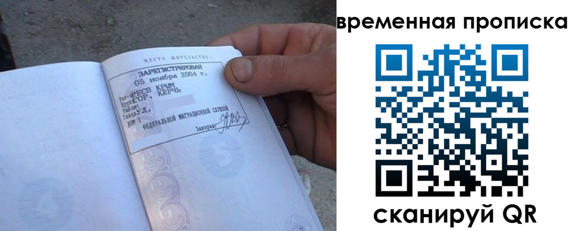 купить прописку в Курской области