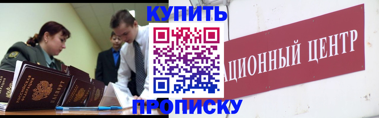 прописка поиск в Курской области